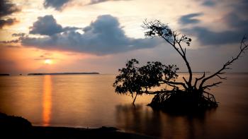 Southeast ocean sunset